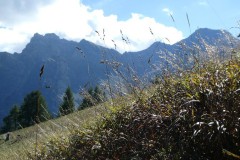 P1030025_copy_800x451