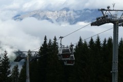 P1020971_copy_800x451