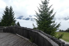 P1020974_copy_800x451
