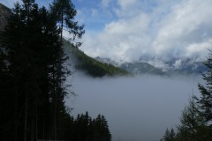 P1020979_copy_800x451