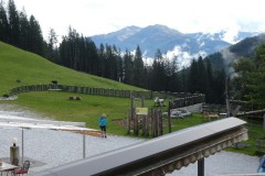 P1020984_copy_800x451