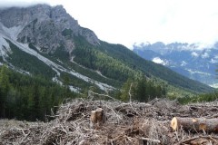 P1020998_copy_800x340